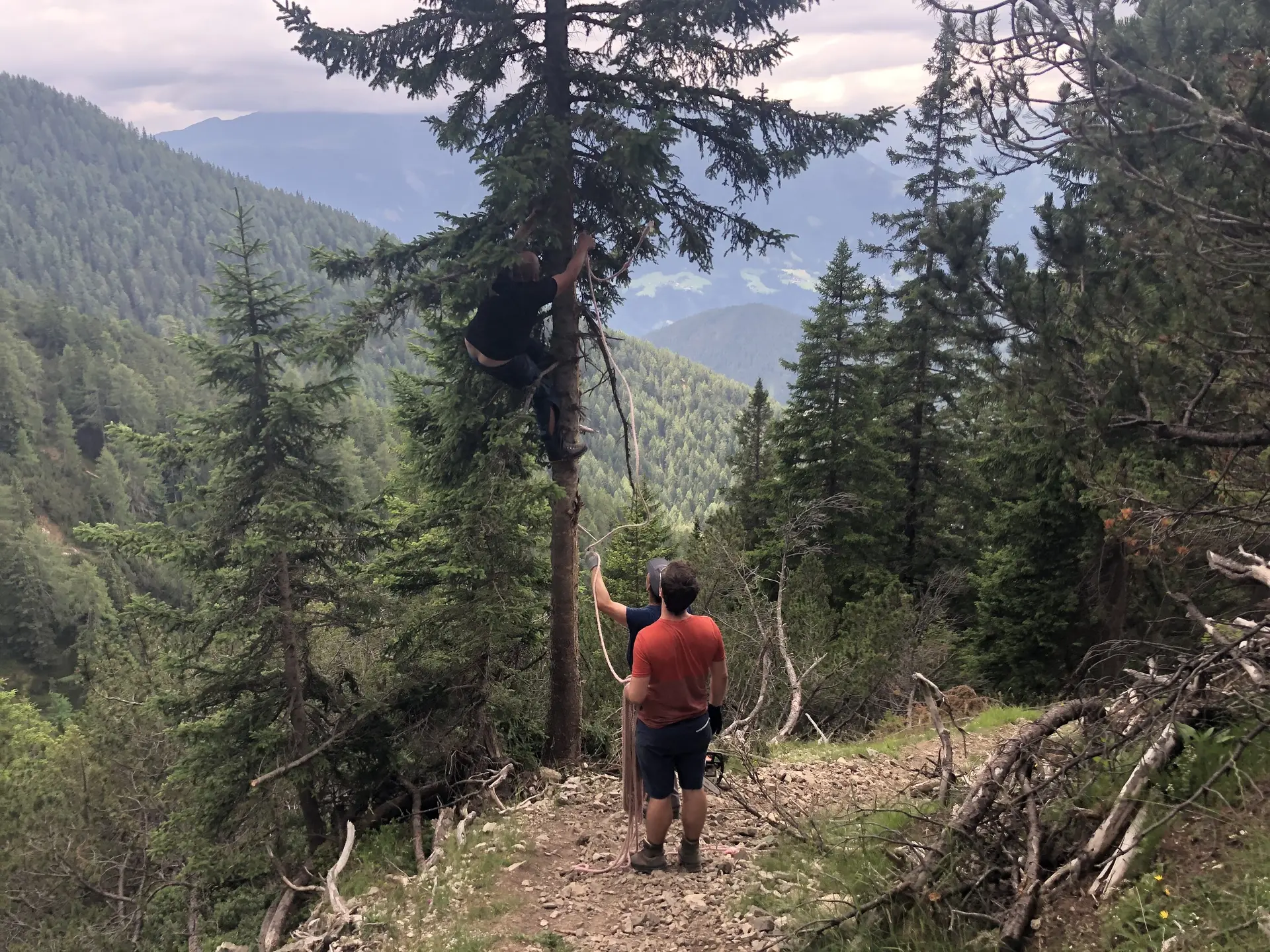 © Christian Flügel