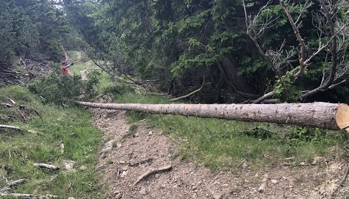 © Christian Flügel