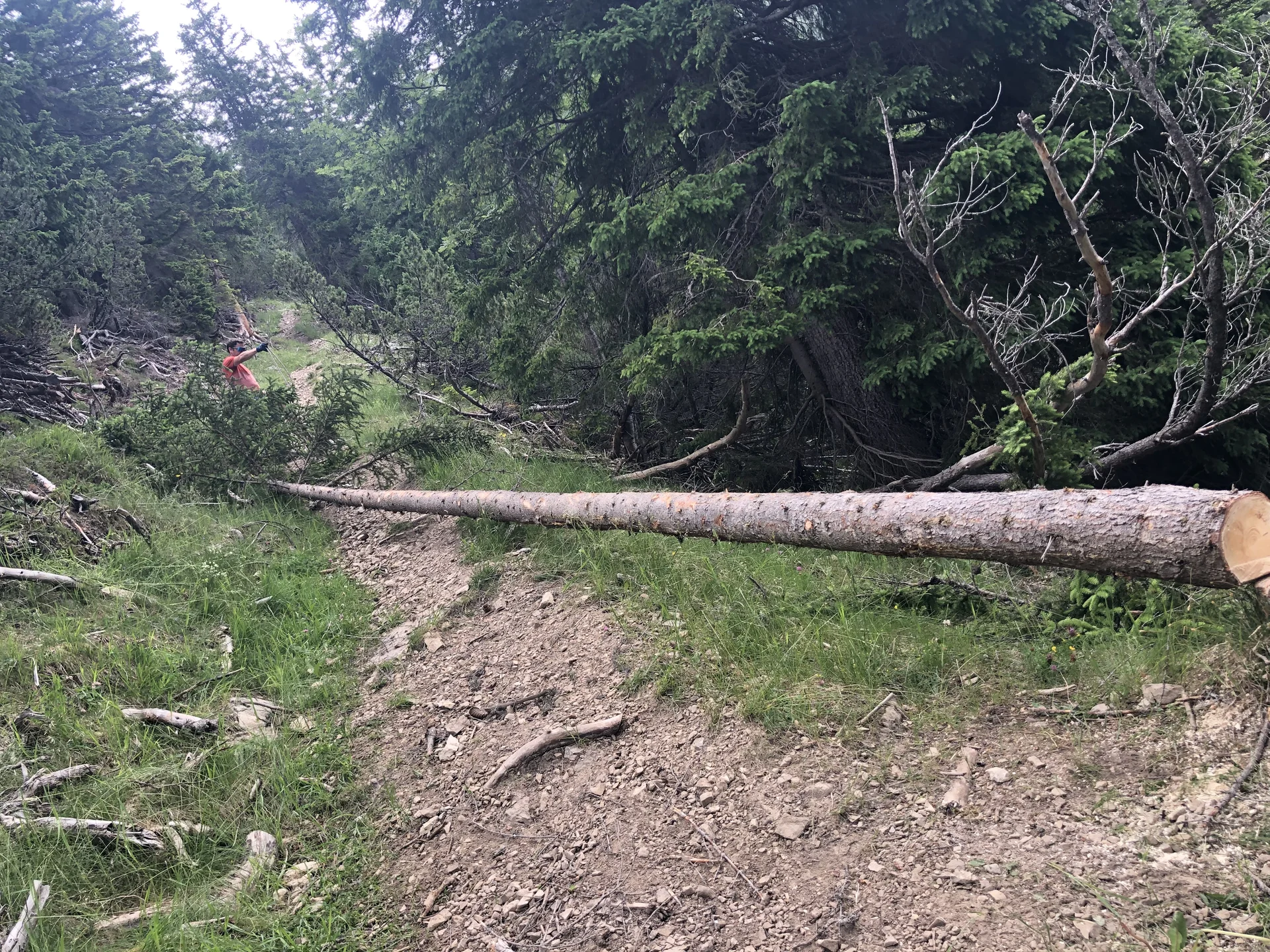 © Christian Flügel