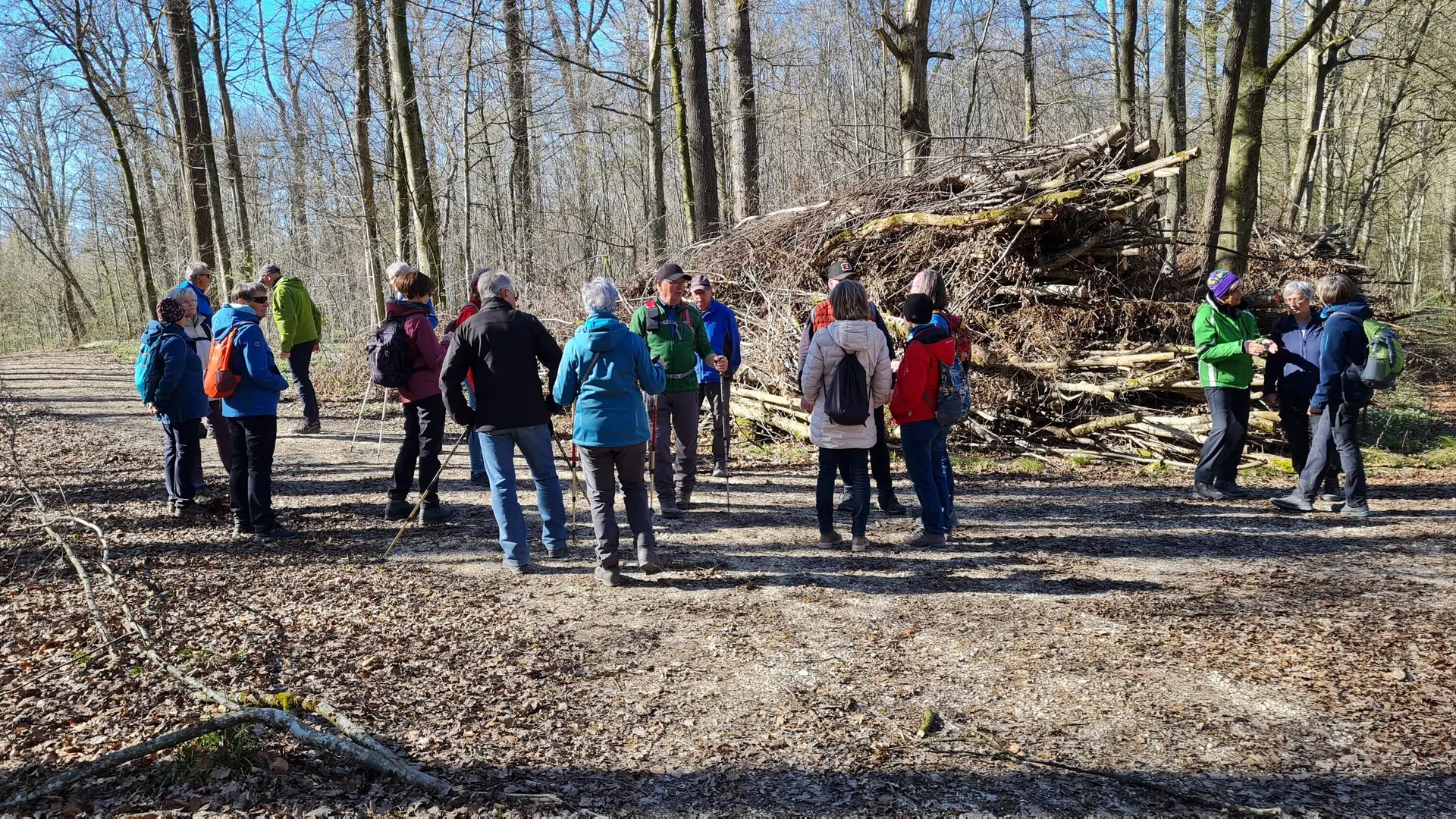 © Rudi Steininger