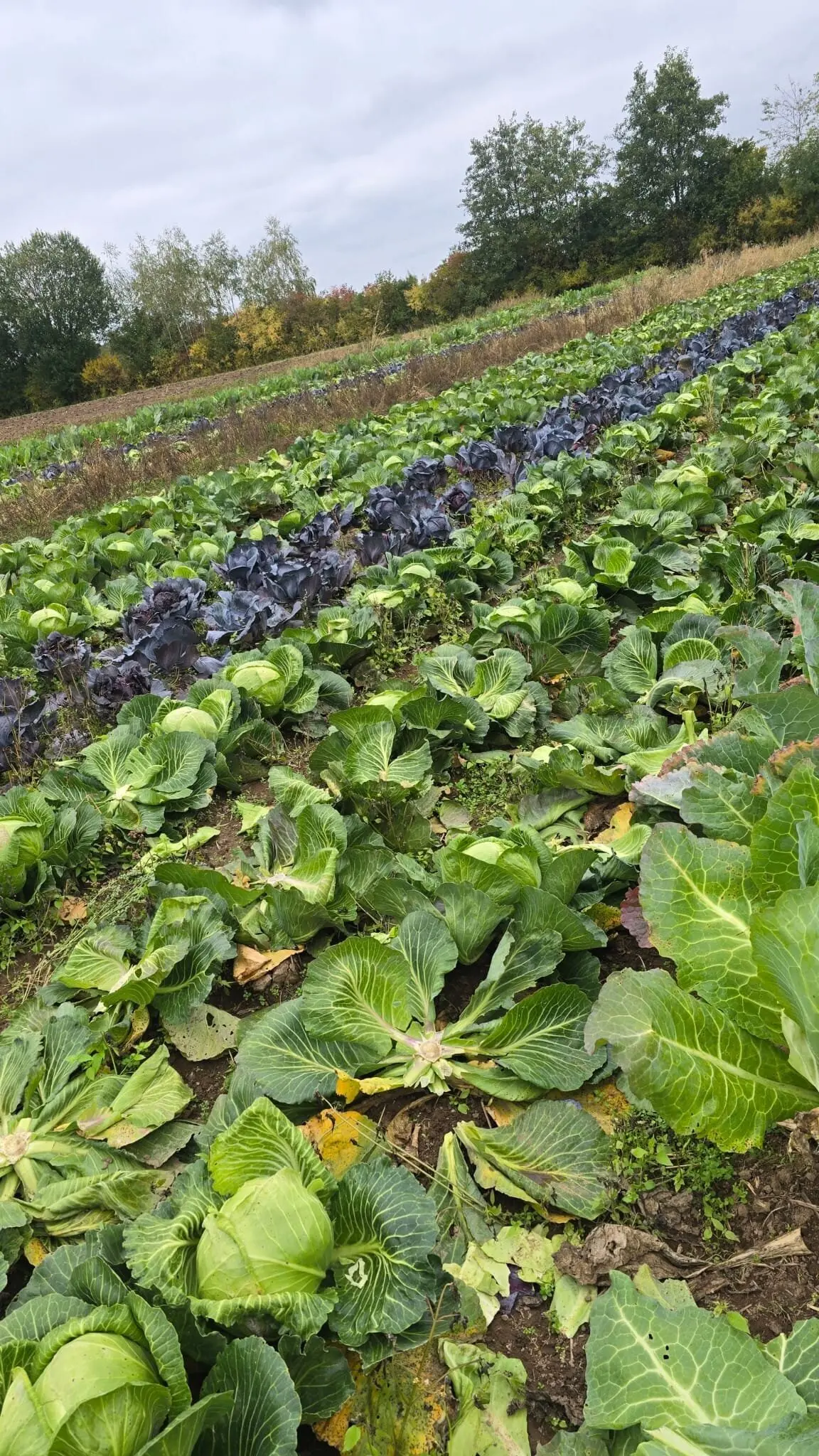 © Peter Klein, DAV Nördlingen