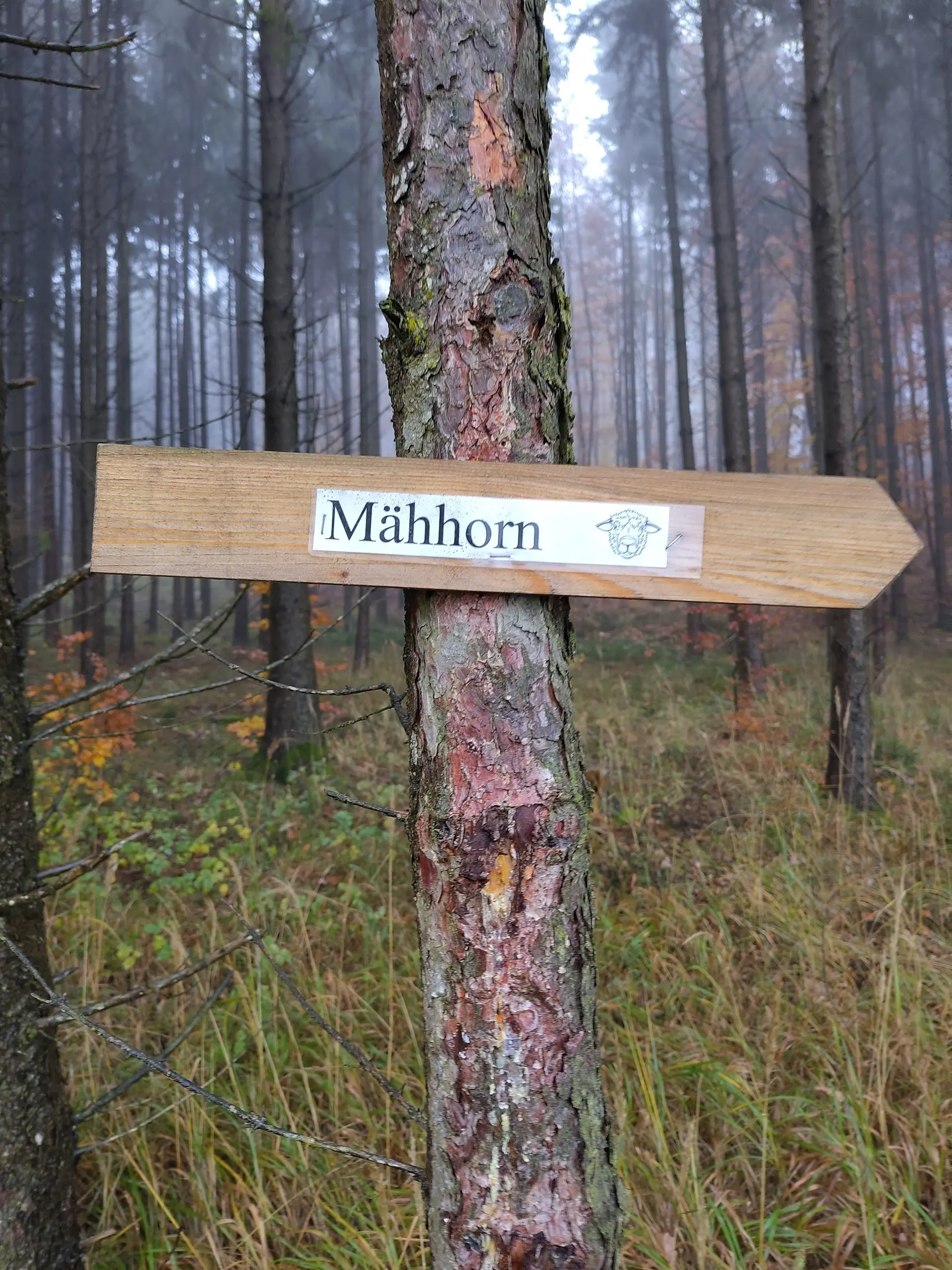 © Rudi Steininger, DAV Nördlingen