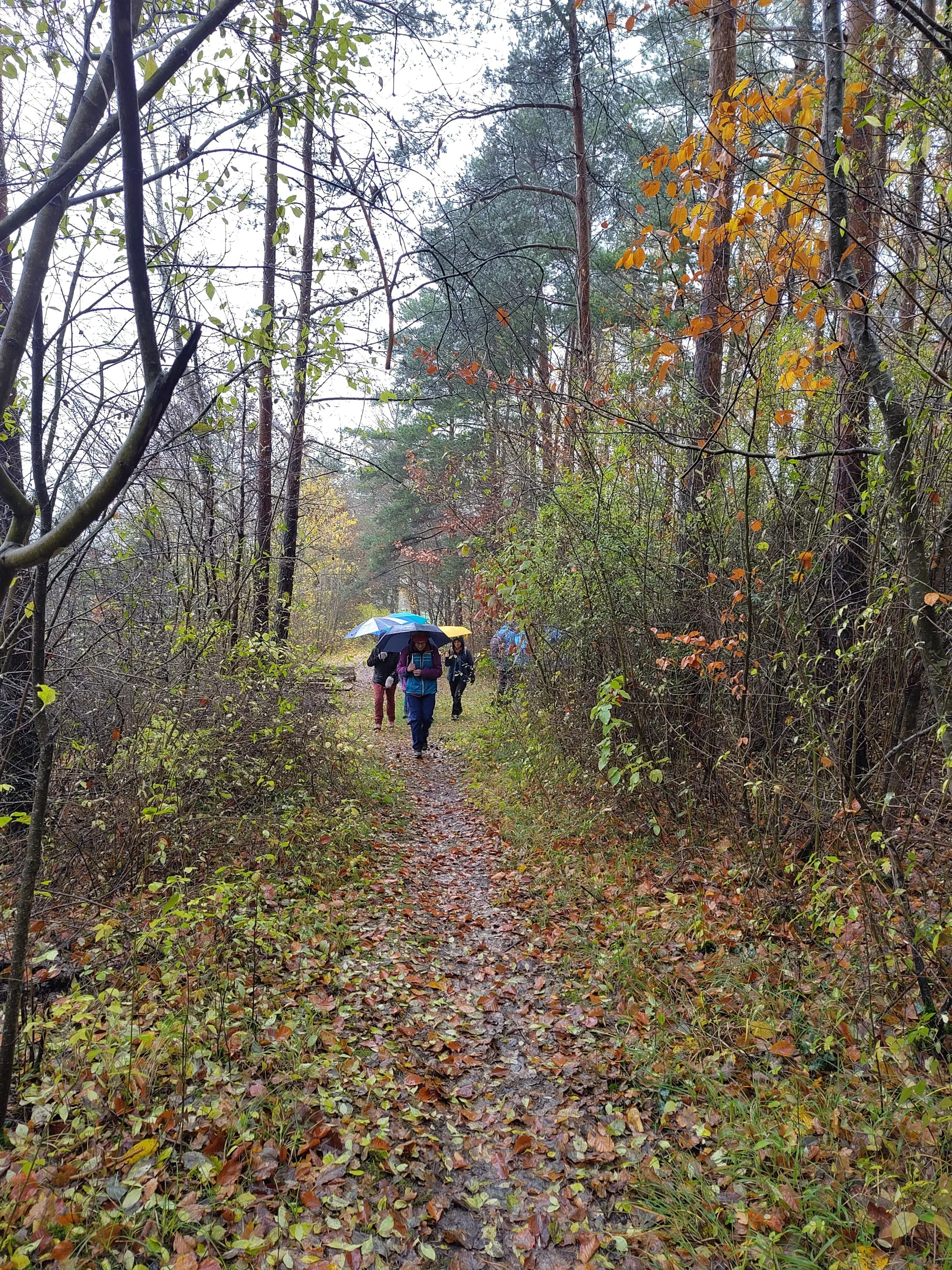 © Rudi Steininger, DAV Nördlingen