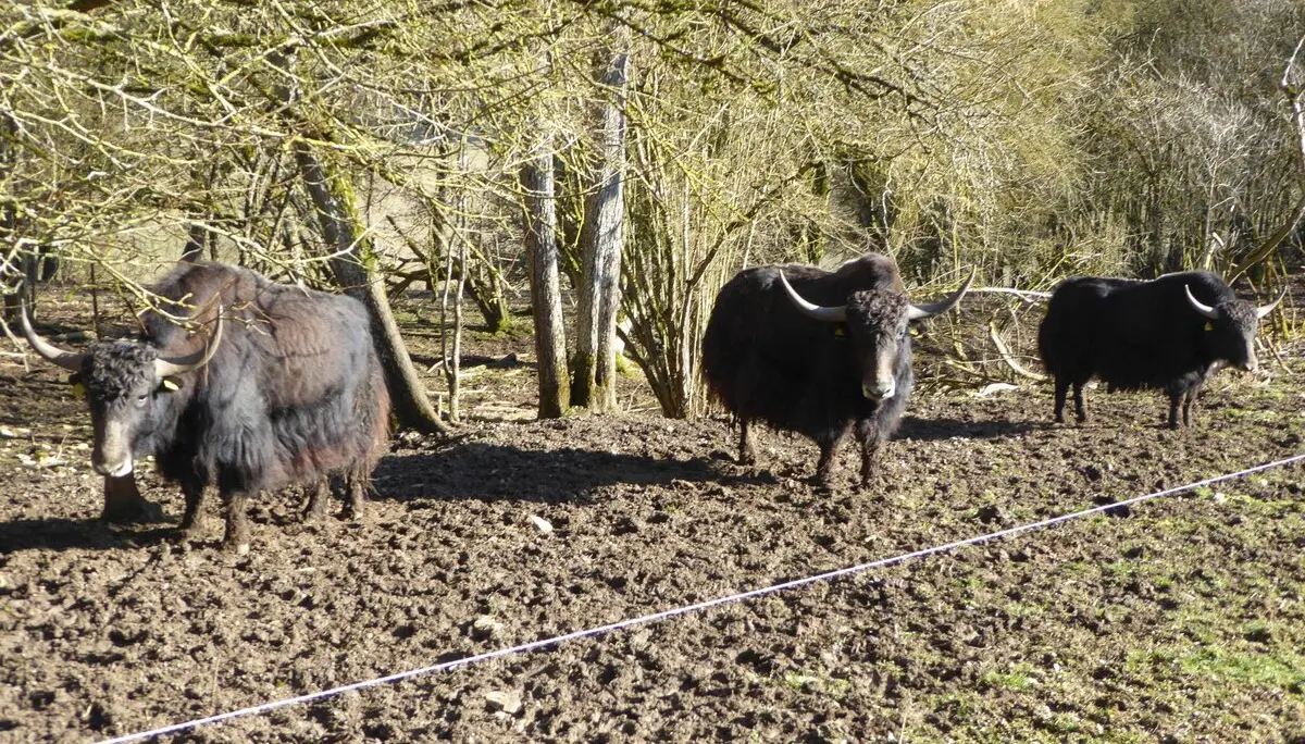 © Hans-Peter Bette, DAV Nördlingen