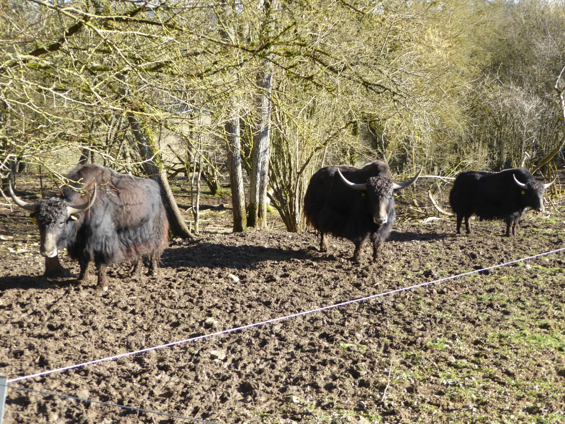 © Hans-Peter Bette, DAV Nördlingen