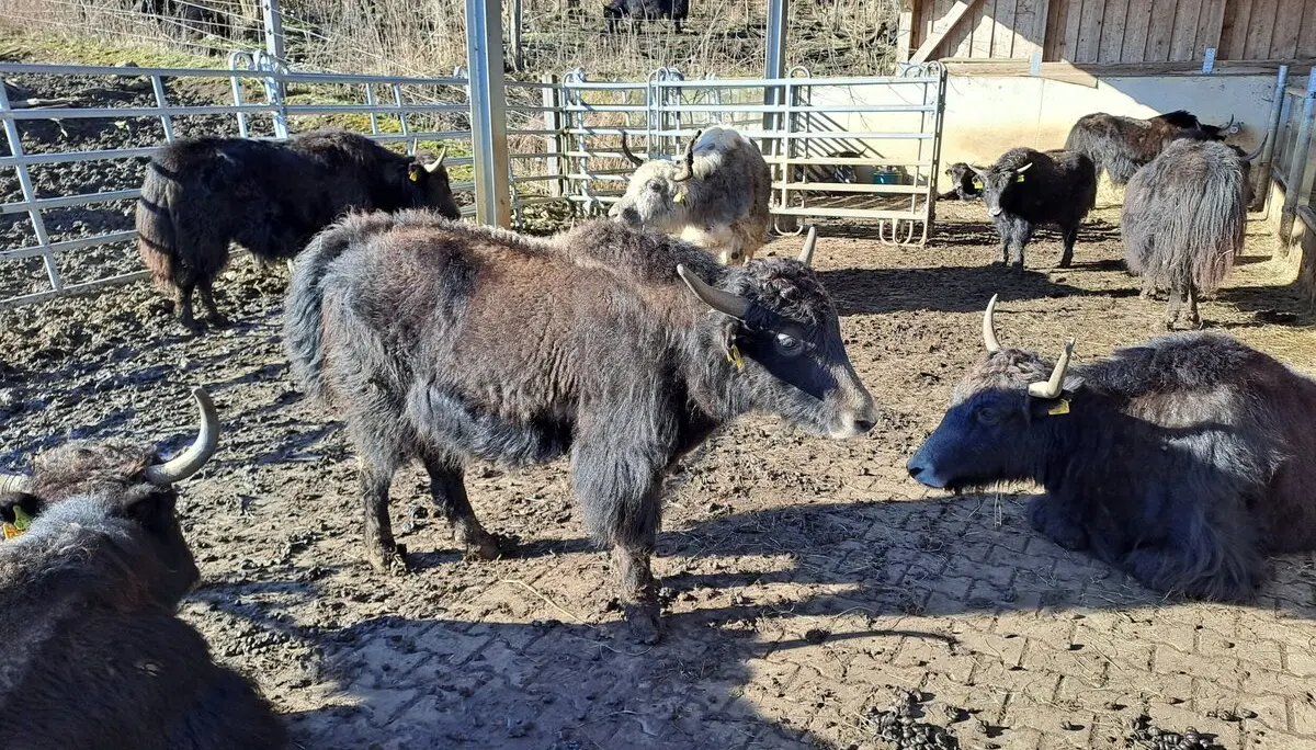 © Hans-Peter Bette, DAV Nördlingen