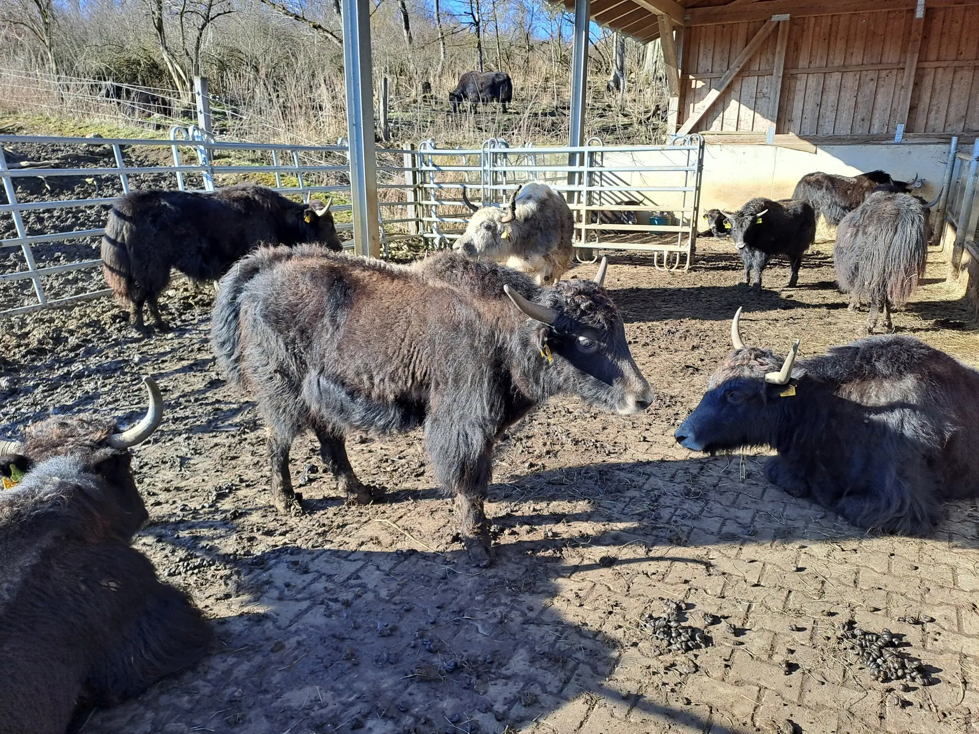 © Hans-Peter Bette, DAV Nördlingen