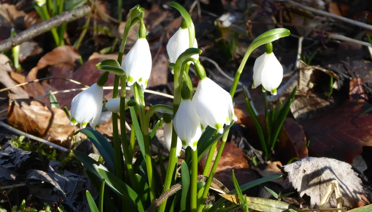 © Hans-Peter Bette, DAV Nördlingen