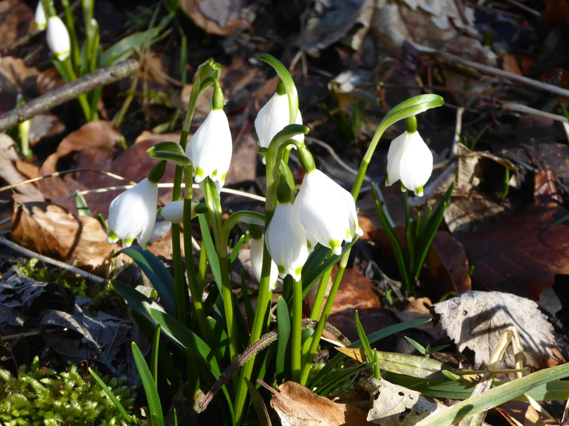 © Hans-Peter Bette, DAV Nördlingen