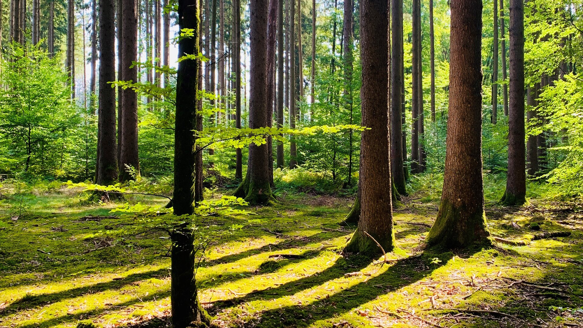 © DAV_Tina Gauß © DAV_Tina Gauß